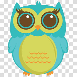 s, blue and green owl transparent background PNG clipart