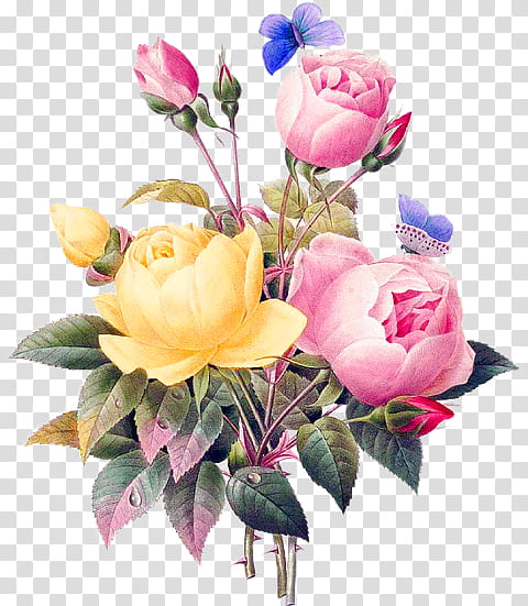 Flowers Bouquet, Rose, Floral Design, Vintage Clothing, Flower Bouquet, Antique, Garden Roses, Retro Style transparent background PNG clipart