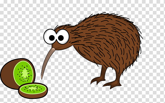 Kiwi Bird, Cartoon, Kiwifruit, North Island Brown Kiwi, Drawing, Ostrich, Beak, Flightless Bird transparent background PNG clipart
