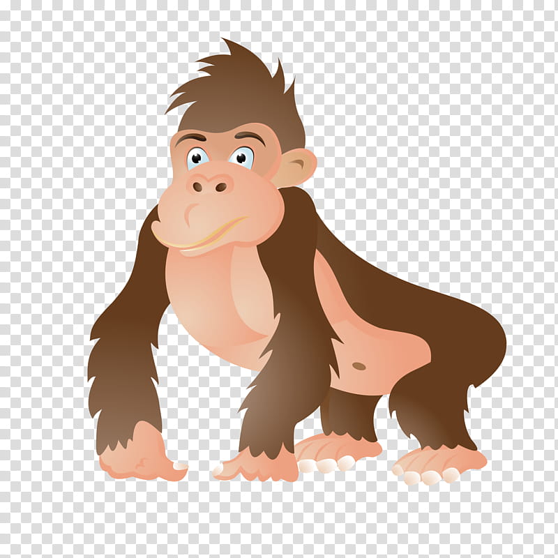 Gorilla, Ape, Western Gorilla, Orangutan, Nose, Neck, Great Ape, Snout transparent background PNG clipart