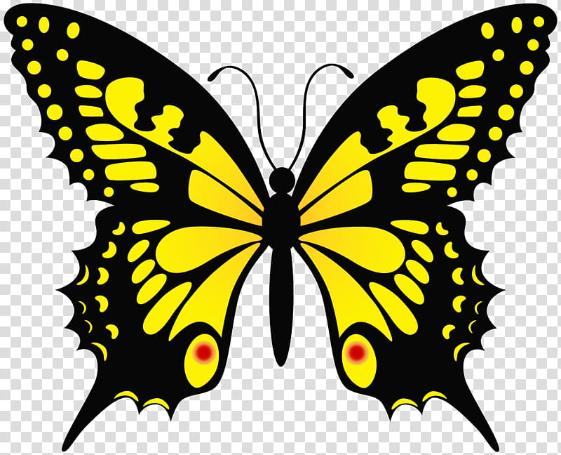 moths and butterflies butterfly cynthia (subgenus) insect papilio machaon, Watercolor, Paint, Wet Ink, Cynthia Subgenus, Swallowtail Butterfly, Pollinator, Yellow transparent background PNG clipart