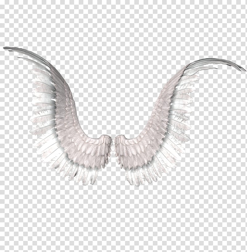 Recursos, white angel wings illustration transparent background PNG clipart