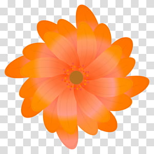 Peach Flower, Dahlia, Orange Sa, Petal, Daisy Family transparent background PNG clipart thumbnail