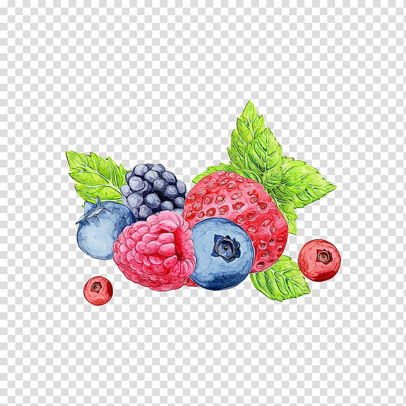 Watercolor Liquid, Paint, Wet Ink, Berries, Sticker, Raspberry, Printing, Fruit transparent background PNG clipart