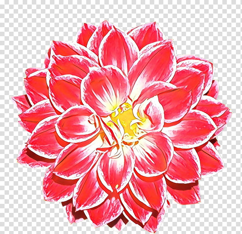 Floral Wedding Invitation, Cartoon, Flower, Clock, , Graphic Design, Logo, Floral Design transparent background PNG clipart