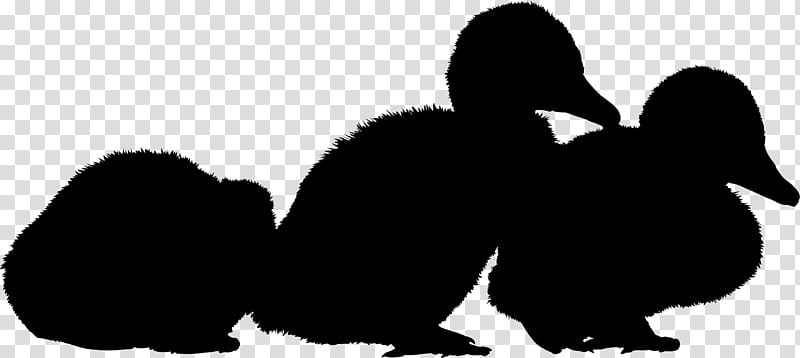 Bird Silhouette, Penguin, Beak, Landfowl, Black M, Duck, Ducks Geese And Swans, Water Bird transparent background PNG clipart