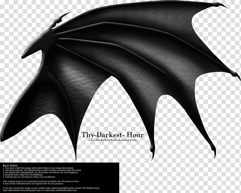 Dragon Wings , black wings transparent background PNG clipart