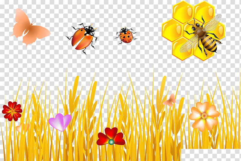 Ladybird, Bee, Honeycomb, Beehive, Flower, Yellow, Orange, Petal transparent background PNG clipart