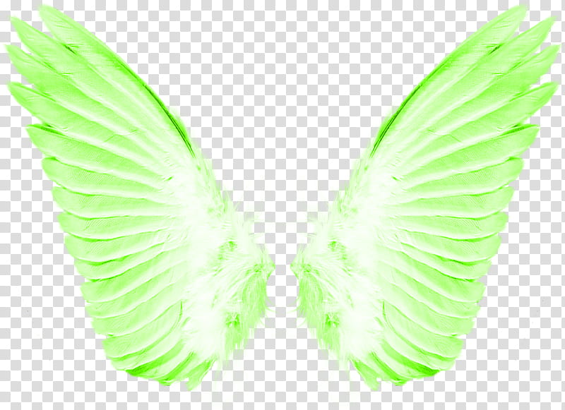 PART Material, green wings art transparent background PNG clipart