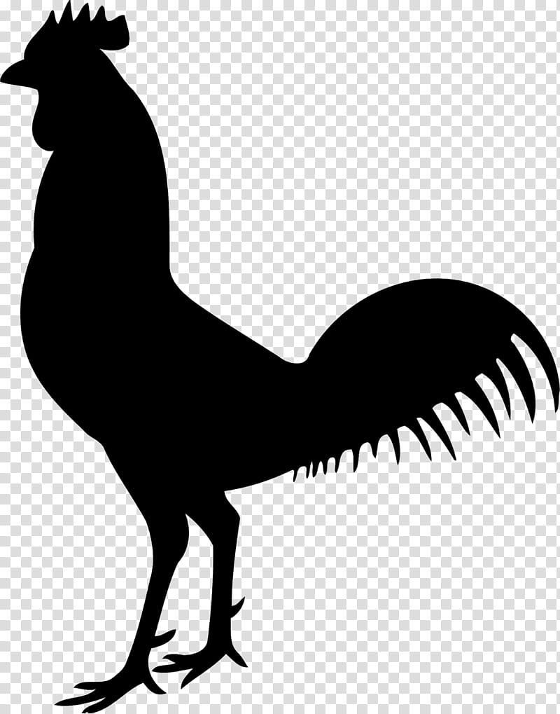 Chicken Nugget, Rooster, Poultry, Skeleton, Bird, Beak, Tail, Dinosaur transparent background PNG clipart