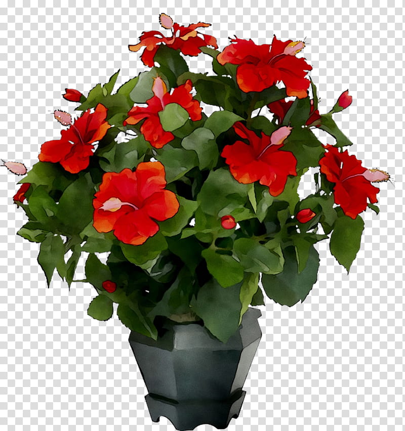 Floral Flower, Houseplant, Ornamental Plant, Naberezhnye Chelny, Flower Bouquet, Vase, Gift, Floriculture transparent background PNG clipart