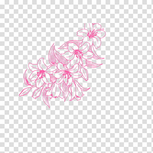 Decoraciones, pink flowers illustration transparent background PNG clipart