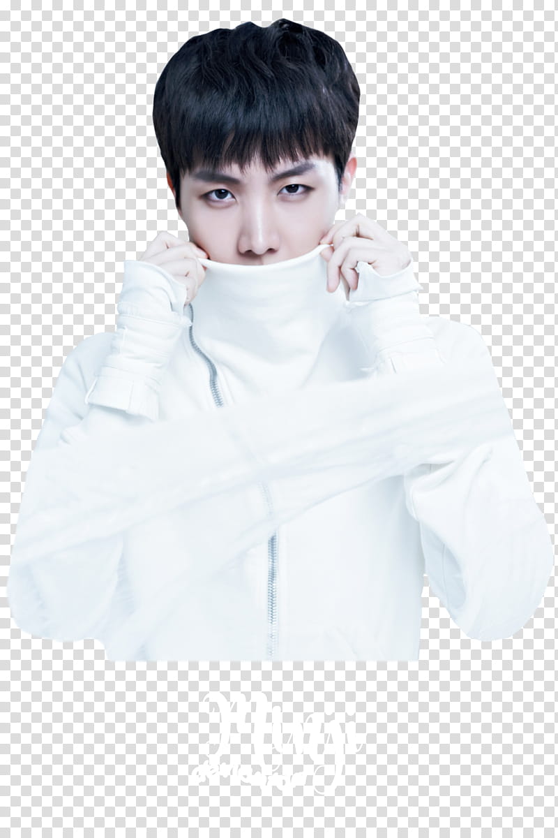 J-Hope BTS We Are Bulletproof Pt.2 Wings, wings transparent background PNG  clipart