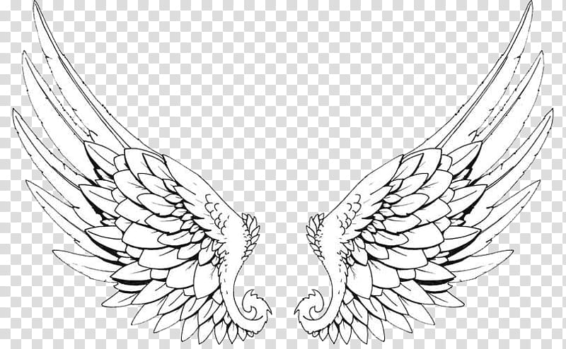 Alas transparent background PNG clipart