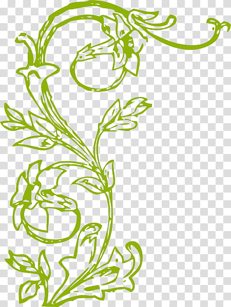 Flower Line Art, Drawing, Vine, Grape, Document, Plants, Green, Leaf transparent background PNG clipart