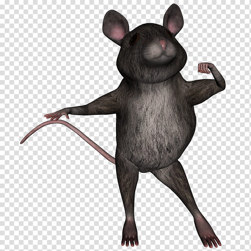 House Mouse v, mouse character transparent background PNG clipart