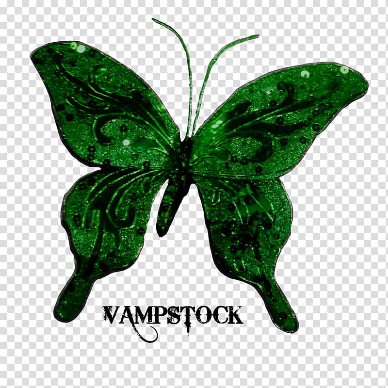 Glitter Butterfly Vamp, green moth illustration transparent background PNG clipart