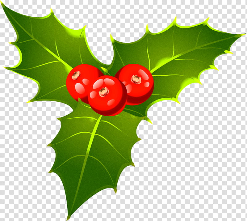 Christmas Decoration, Christmas, Mistletoe, Christmas Day, Christmas Mistletoe, Viscum Album, Aquifoliaceae, Leaf transparent background PNG clipart