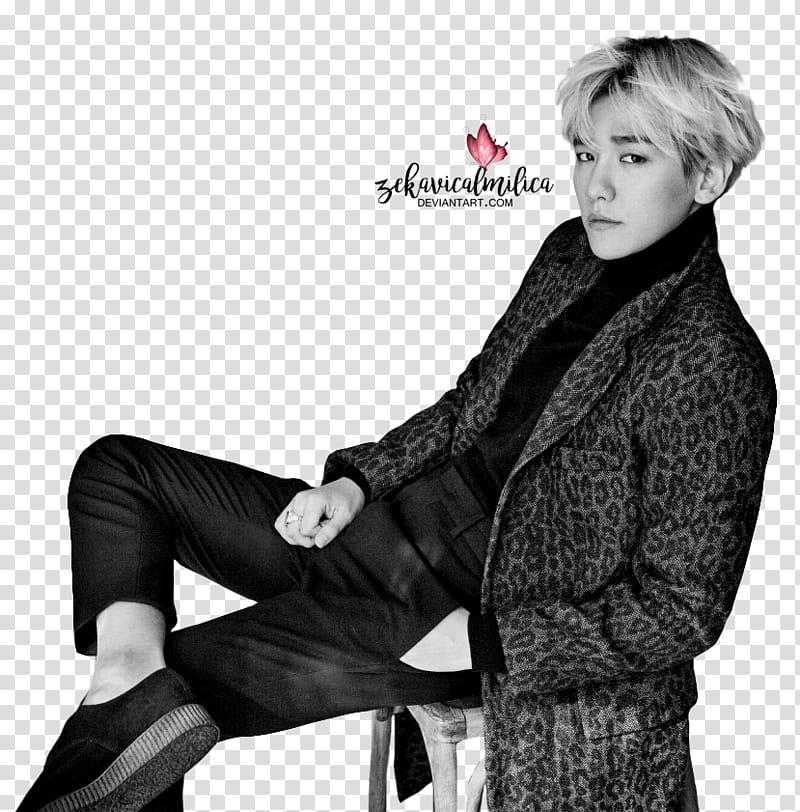 EXO Baekhyun ELLE transparent background PNG clipart | HiClipart