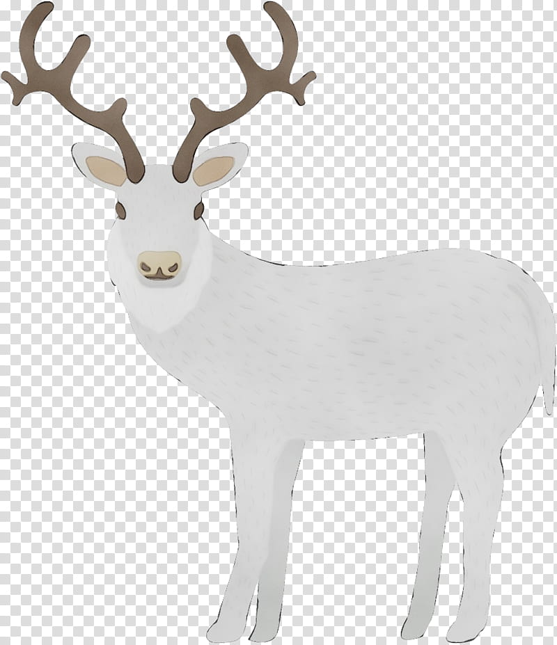 Reindeer, Watercolor, Paint, Wet Ink, White, Antler, Elk, Wildlife transparent background PNG clipart
