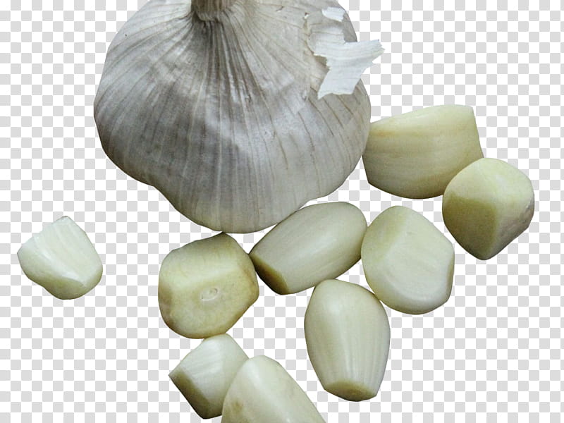Onion, Garlic Bread, Vegetable, Solo Garlic, Elephant Garlic, Spice, Condiment, Seasoning transparent background PNG clipart