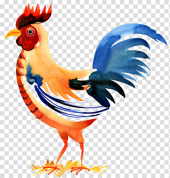 Chicken, Rooster, Color, Handcolouring Of graphs, , Bird, Galliformes, Beak transparent background PNG clipart