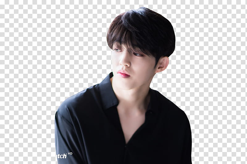 S.COUPS (SVT), LEADER SH.  transparent background PNG clipart