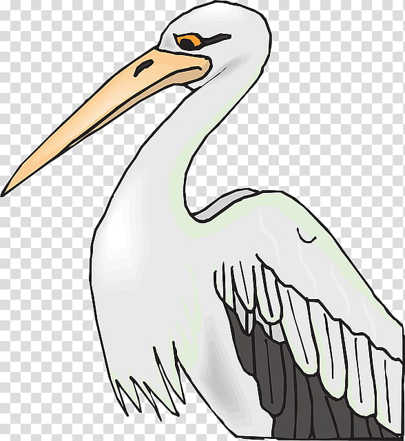 Crane Bird, American White Pelican, Coloring Book, State Bird, Beak, Eastern Brown Pelican, Islam A Concise Introduction, Pelecaniformes transparent background PNG clipart