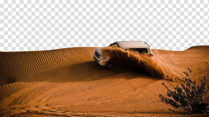 desert natural environment erg aeolian landform sand, Dune, Sahara, Landscape, Brown, Wood transparent background PNG clipart