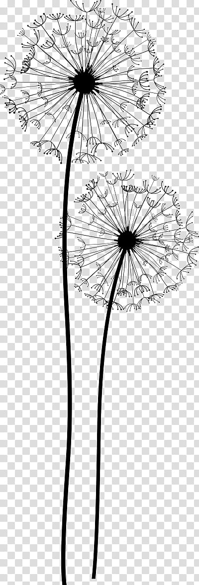 Family New Year, Drawing, Music, Painting, Book, Mirza Ghalib, Dandelion, Blackandwhite transparent background PNG clipart