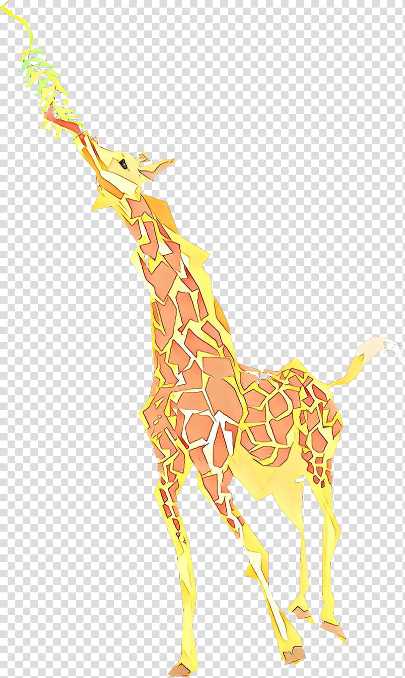 Animal, Giraffe, Giraffids, Giraffidae, Yellow, Wildlife, Animal Figure, Fawn transparent background PNG clipart