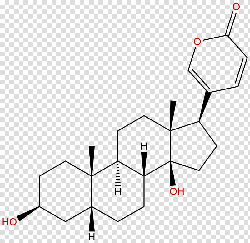 Tree Drawing, Cholic Acid, Bile Acid, Hyodeoxycholic Acid, Ursodiol, Dehydroepiandrosterone, Sterol, Chenodeoxycholic Acid transparent background PNG clipart