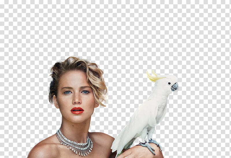 Jennifer Lawrence, white cockatoo on human left hand transparent background PNG clipart