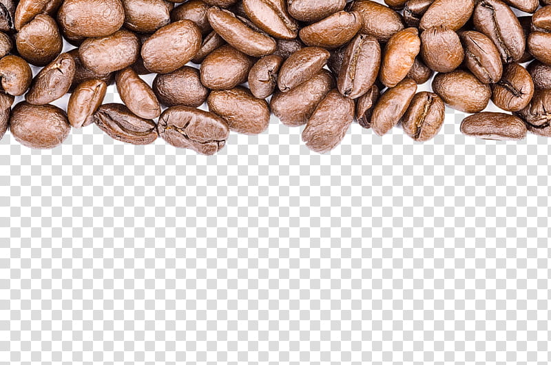 caffeine brown java coffee jamaican blue mountain coffee plant, Bean, Food, Superfood, Attalea Speciosa, Seed transparent background PNG clipart