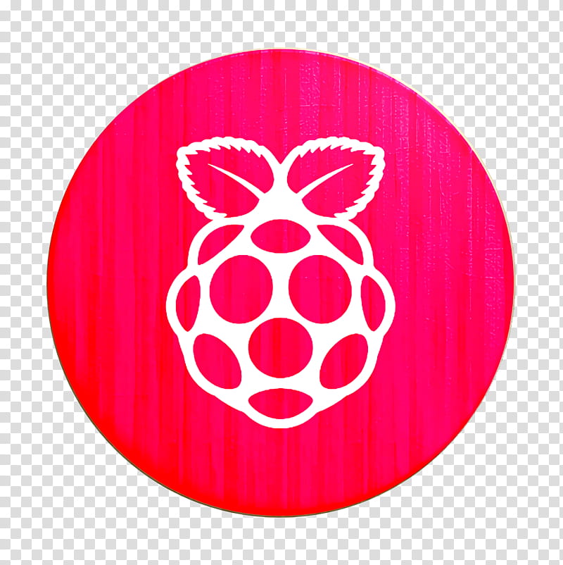 User Icon, Circle Icon, Os Icon, Pi Icon, Raspberry Icon, Round Icon Icon, Raspberry Pi, Computer Icons transparent background PNG clipart
