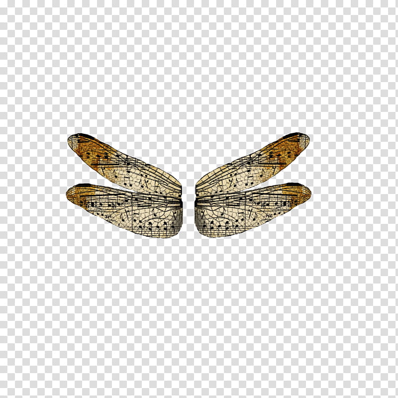 Wings, brown dragonfly illustration transparent background PNG clipart
