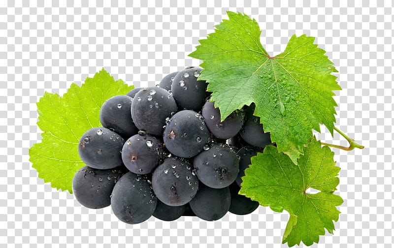 Oil, Common Grape Vine, Fruit, Juice, Grappa, Zante Currant, Berries, Food transparent background PNG clipart