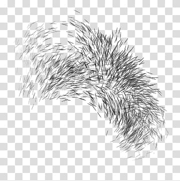 Brushs ALL transparent background PNG clipart Brushs ALL transparent background PNG clipart