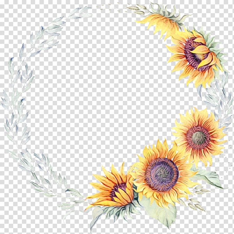 Sunflower, Watercolor, Paint, Wet Ink, Yellow, Mayweed, Plant, Gerbera transparent background PNG clipart