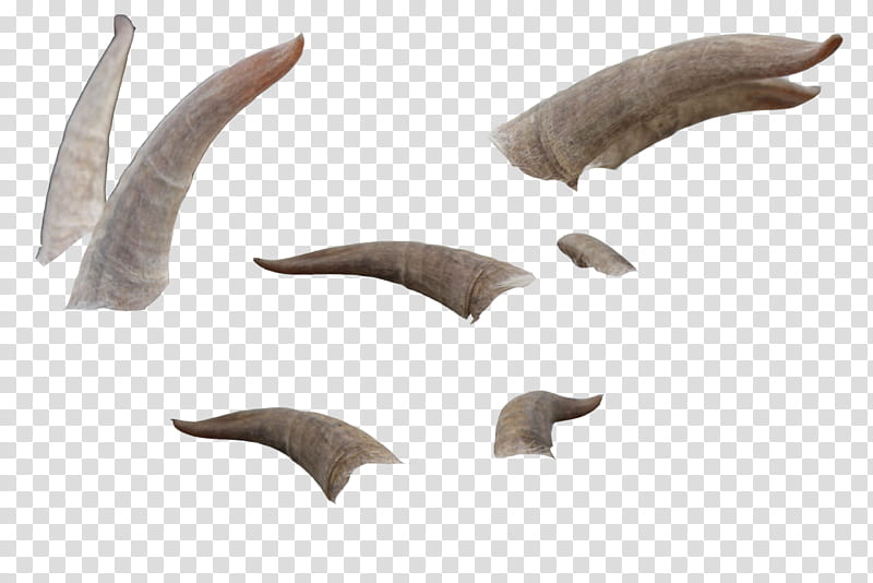 Free Goat Horns cutout, brown horns illustration transparent background PNG clipart