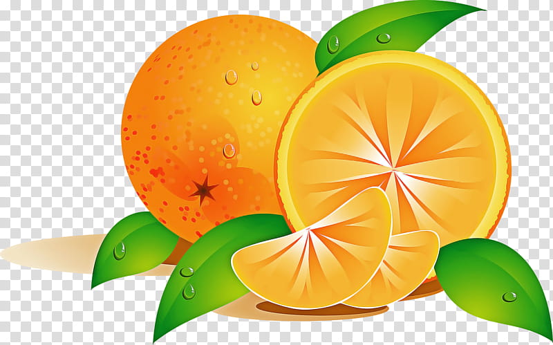 Orange, Mandarin Orange, Citrus, Fruit, Tangerine, Grapefruit, Bitter Orange, Rangpur transparent background PNG clipart