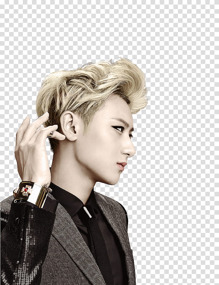 Tao Exo transparent background PNG clipart