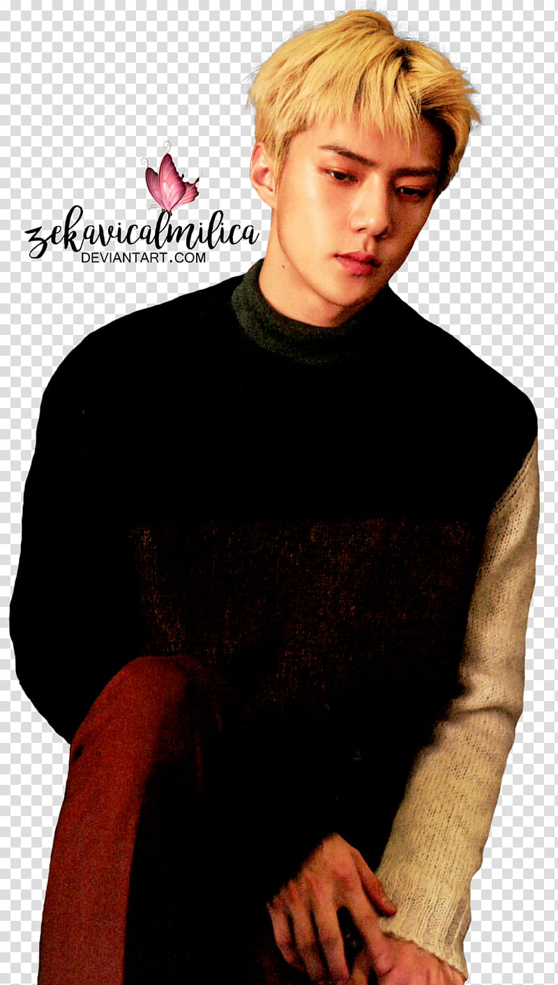 EXO Sehun For Life, man in black and gray sweater transparent background PNG clipart