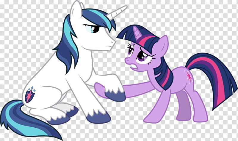Concerned Shining Armour and Twilight Sparkle, My Little Pony characters illustration transparent background PNG clipart