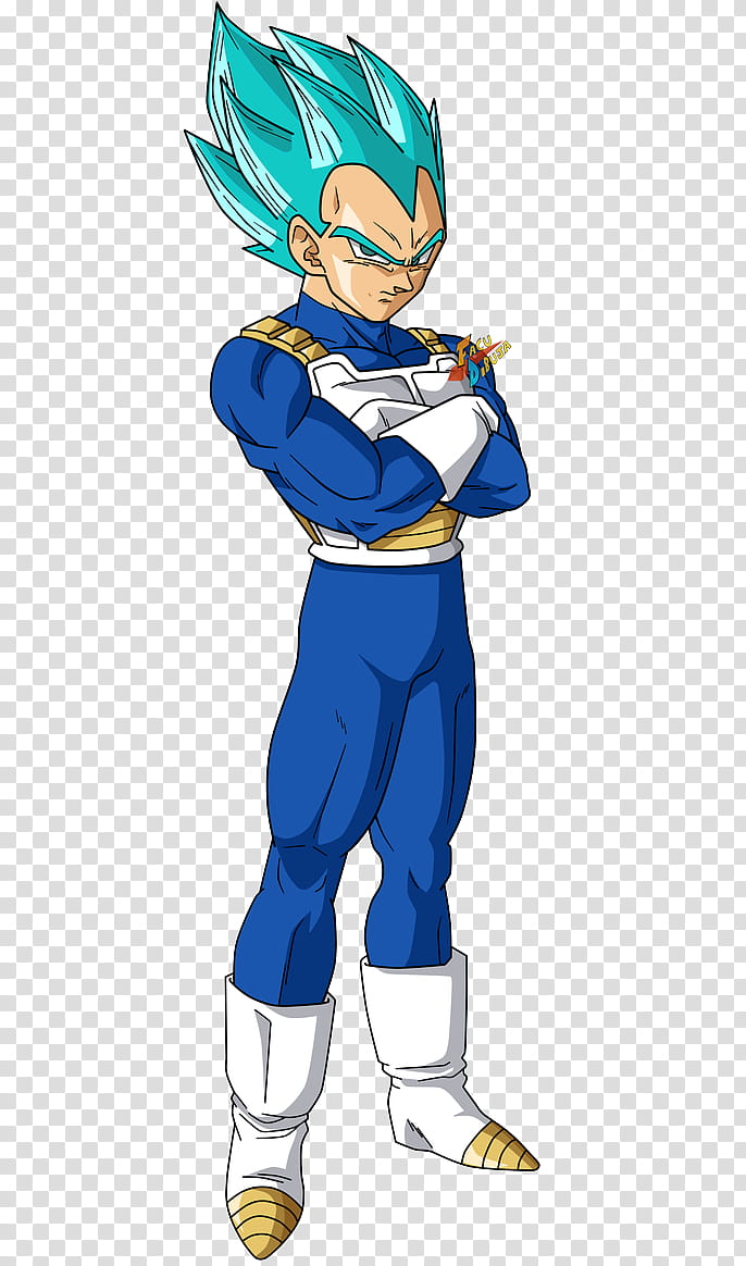 Db Multiverse Vegeta Ssjgss transparent background PNG clipart