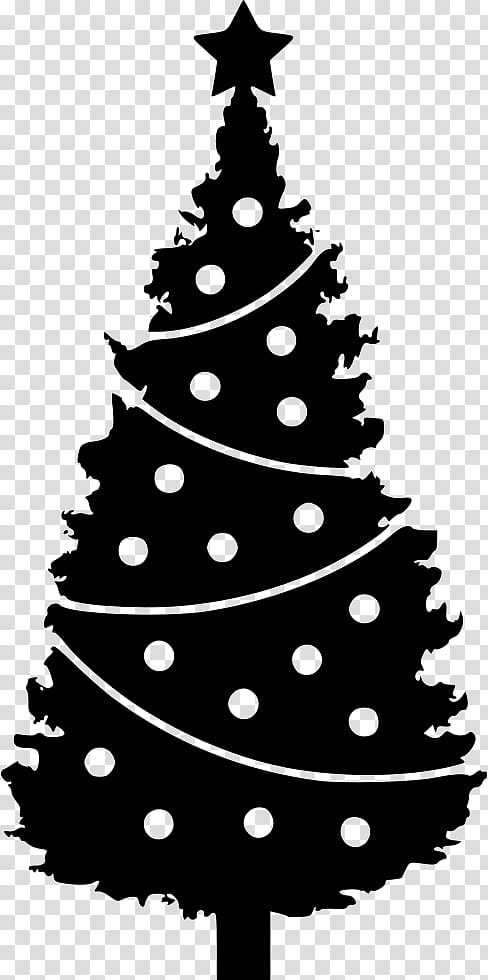 Christmas Black And White, Evergreen, Fir, Tree, Conifers, Spruce, Pinus Thunbergii, Forest transparent background PNG clipart