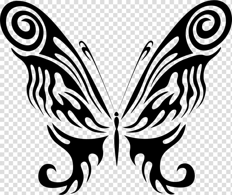 Butterfly Stencil, Insect, Wing, Brushfooted Butterflies, Insect Wing, Morpho, Moths And Butterflies, Blackandwhite transparent background PNG clipart