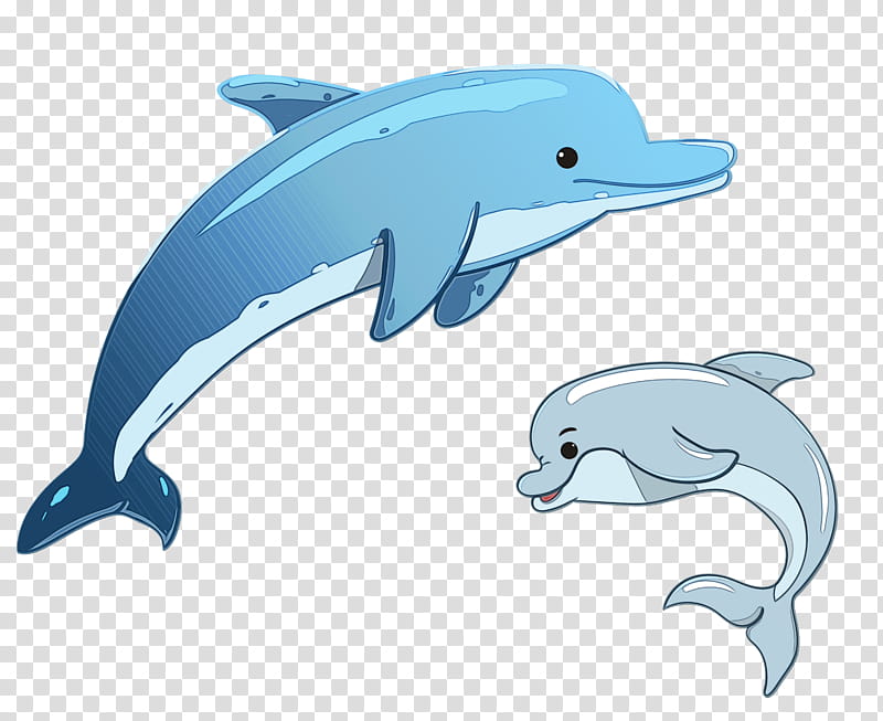 Short-beaked common dolphin Cartoon Whales Drawing, Watercolor, Paint, Wet Ink, Shortbeaked Common Dolphin, Bottlenose Dolphin, Fin, Cetacea transparent background PNG clipart