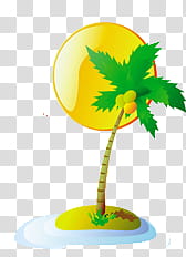 Summer , coconut tree illustration transparent background PNG clipart