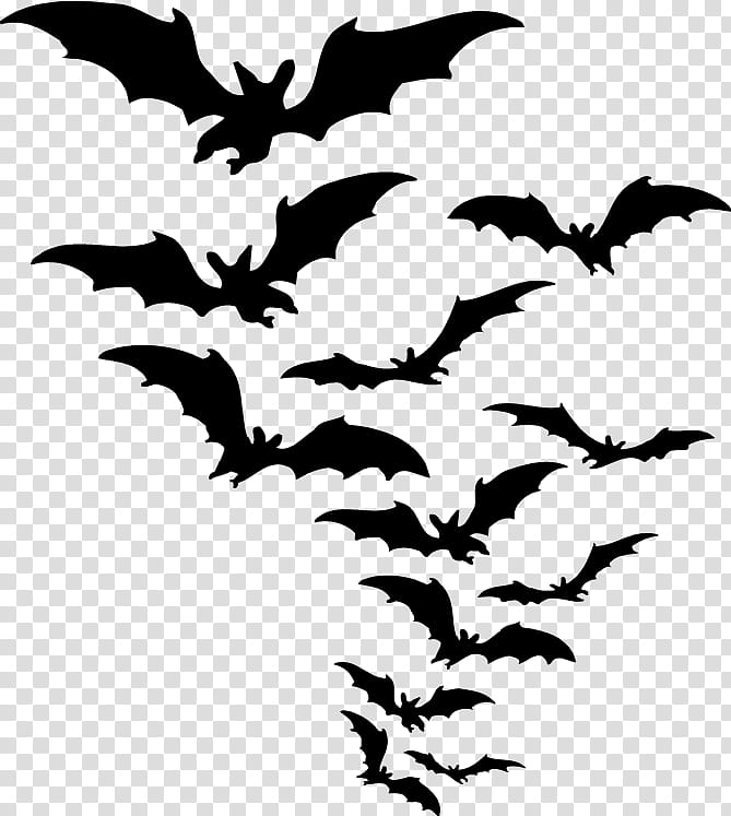 Halloween S, group of flying bats illustration transparent background PNG clipart